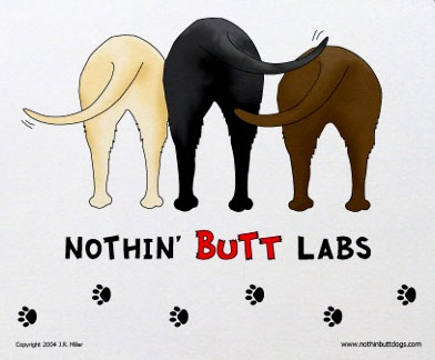 nothing butt labs